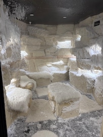 Snow room