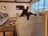 "Gus" made himself at home!