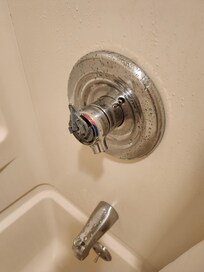 .shower hsndle missing.