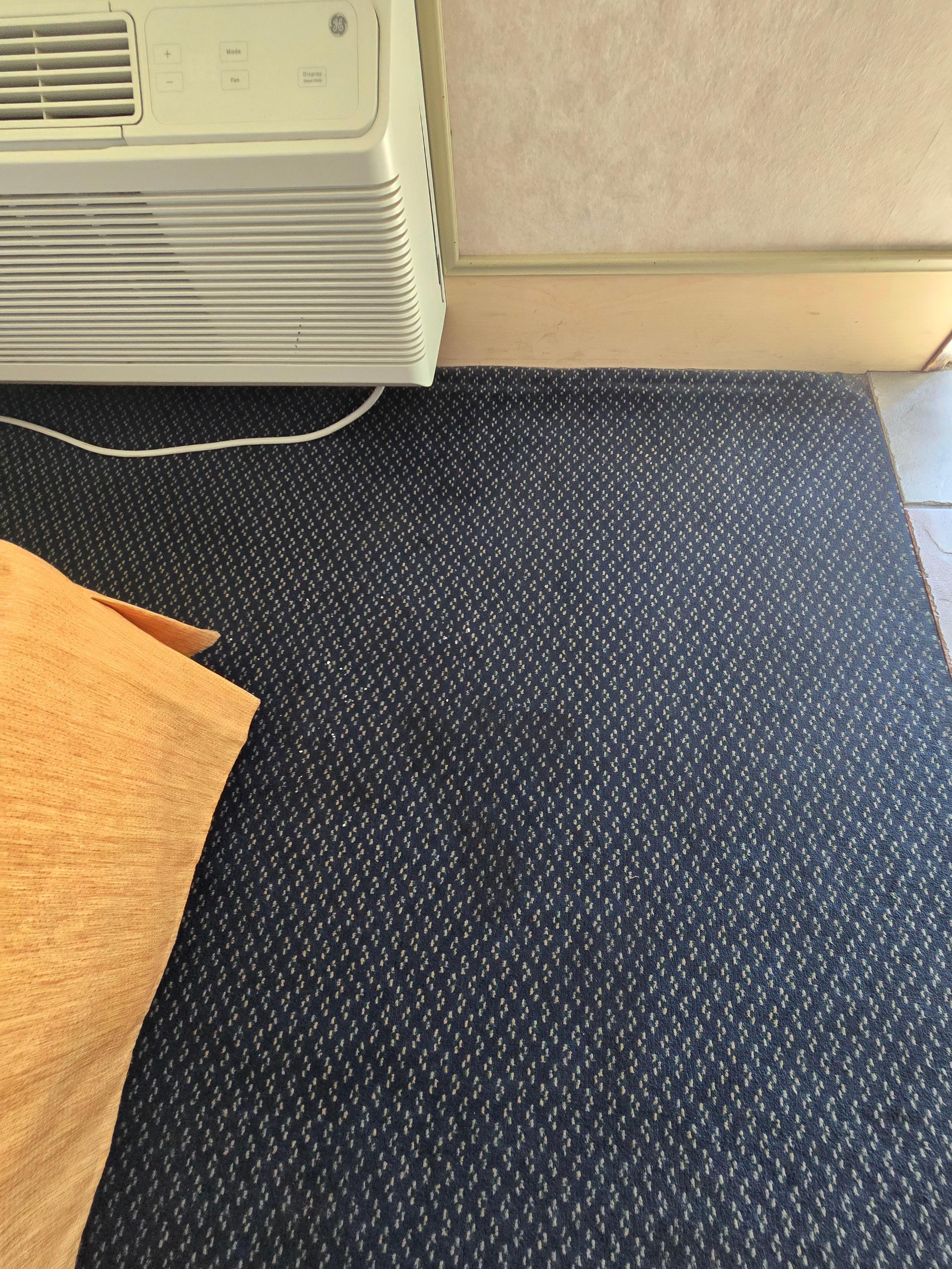 Filthy carpets 