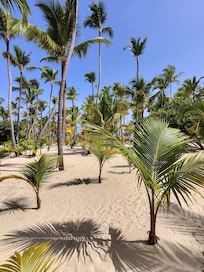 The beach was beautiful