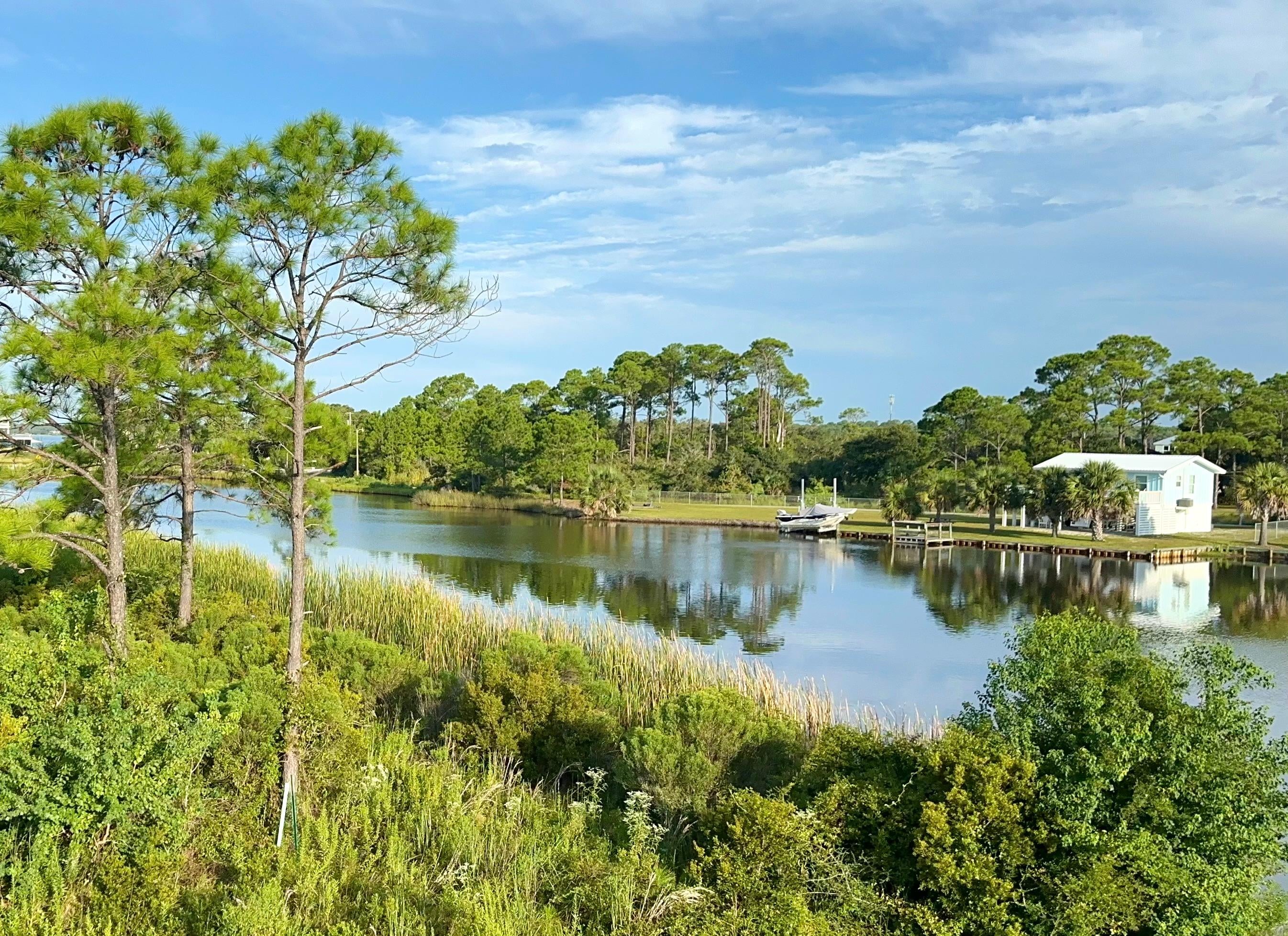 View from front porch 