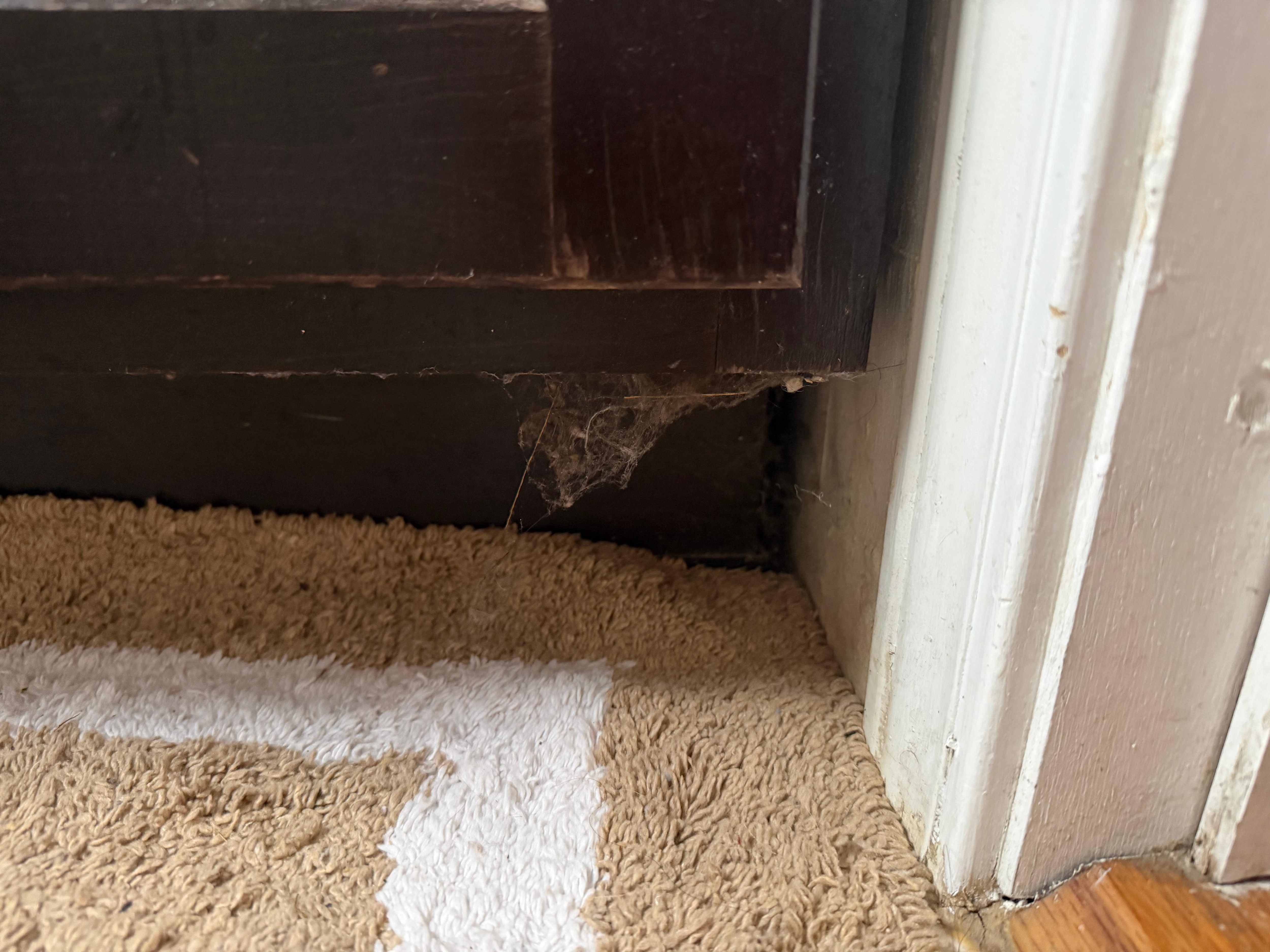 This is a massive hair ball between the bathroom vanity and the bathroom rug. They would certainly notice this if they cleaned the rug
