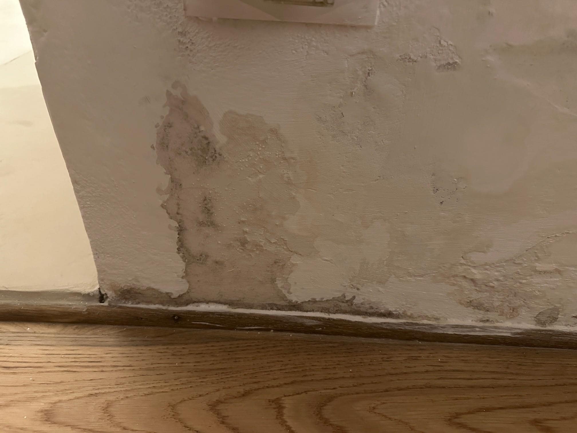 Moldy wall with moisture damage. 