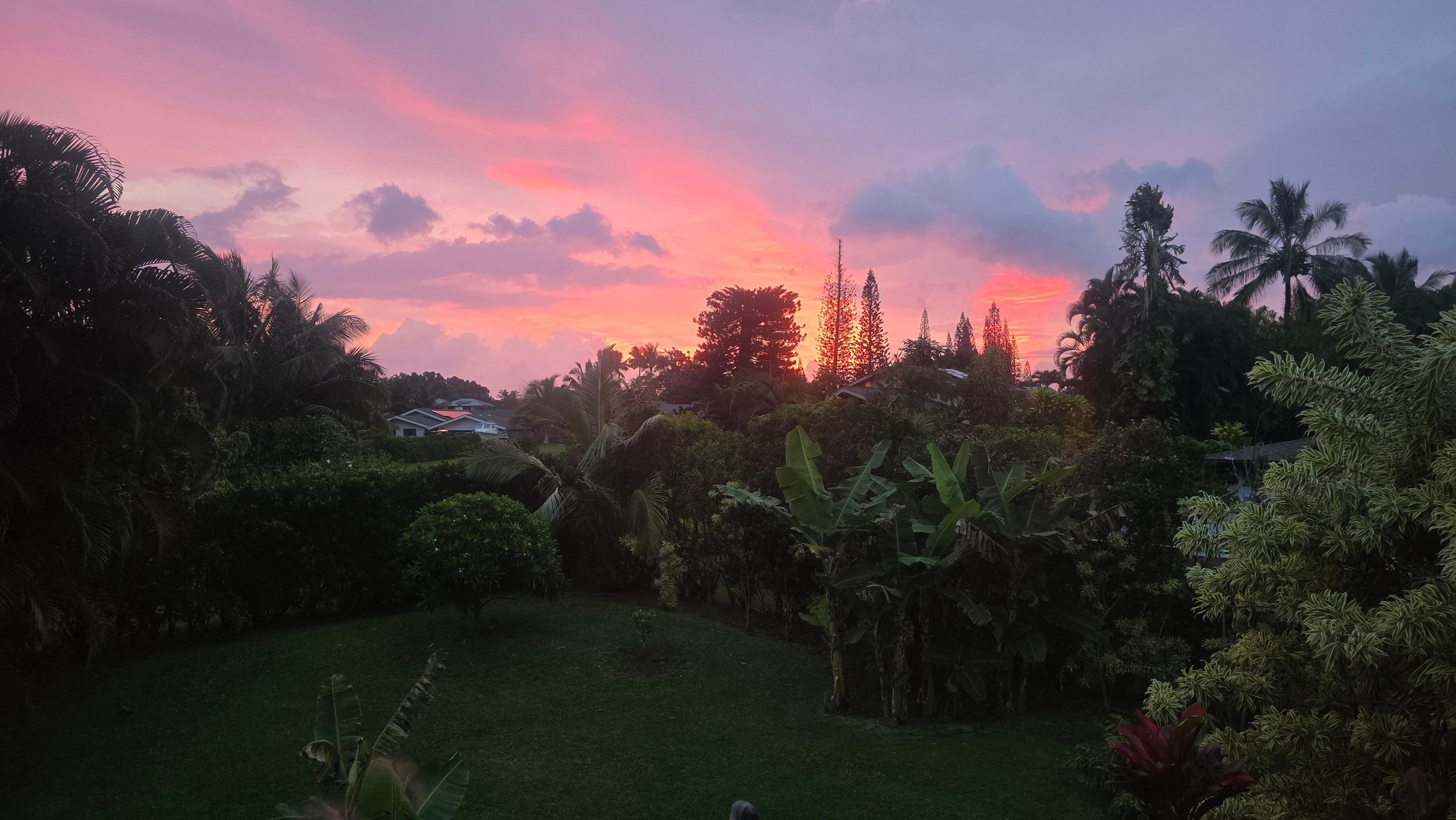 A lanai with a view-  the yard at sunrise 