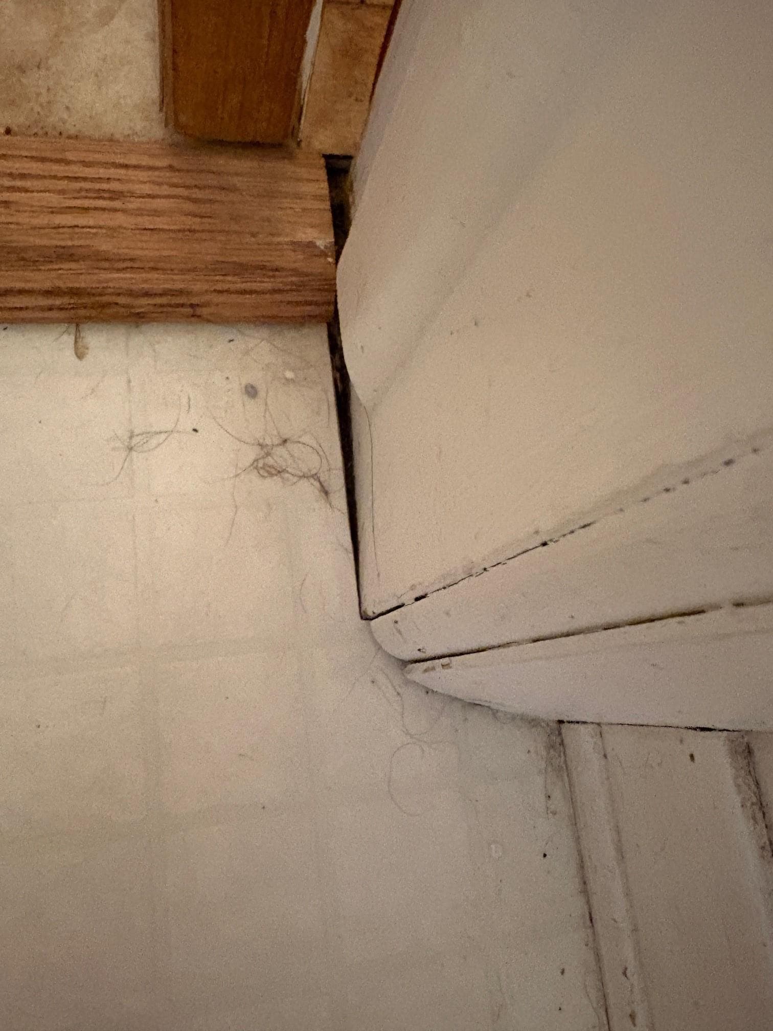 Hair and dirt in all corners of the bathroom