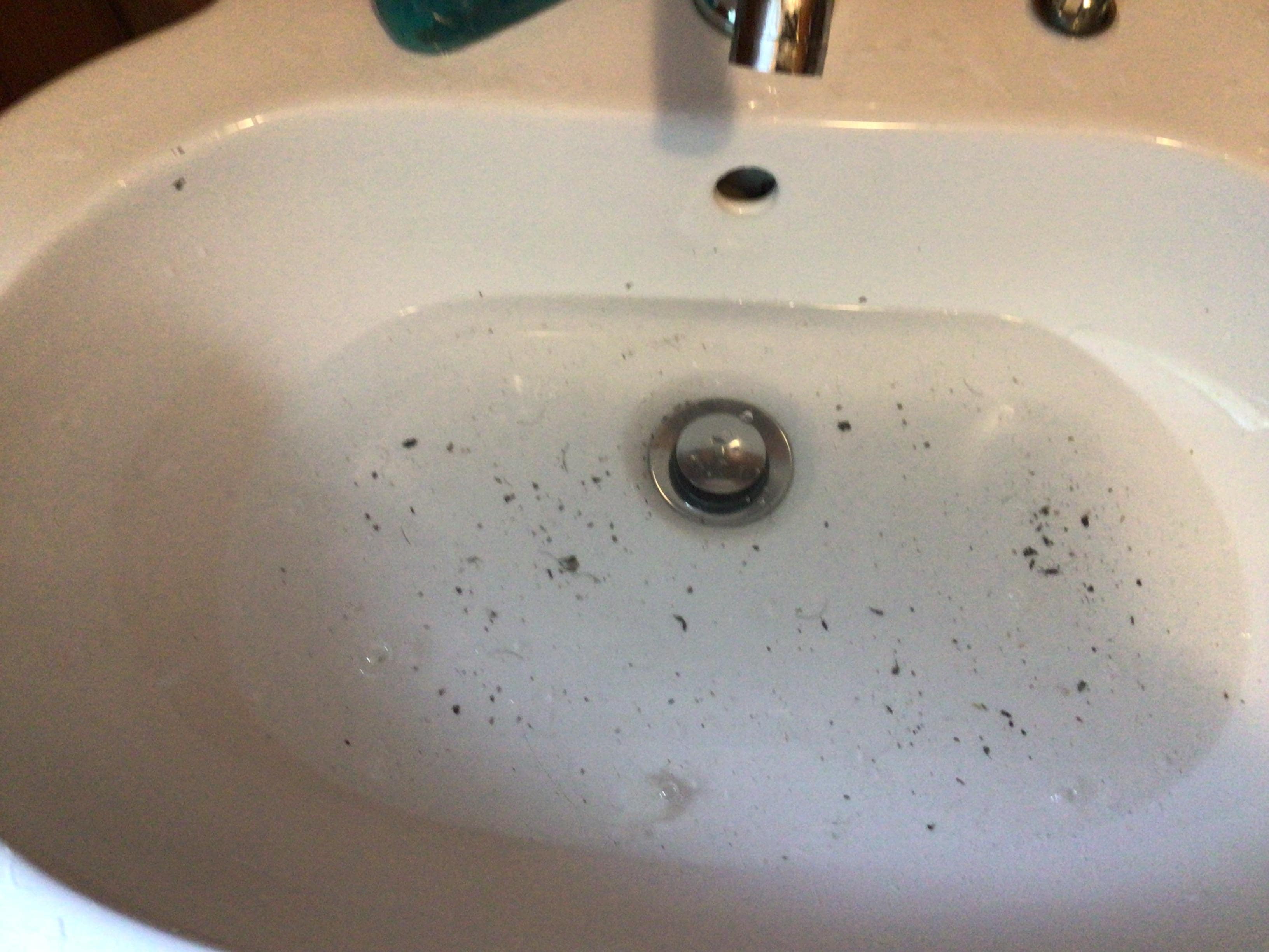 Basin not draining slime coming back up