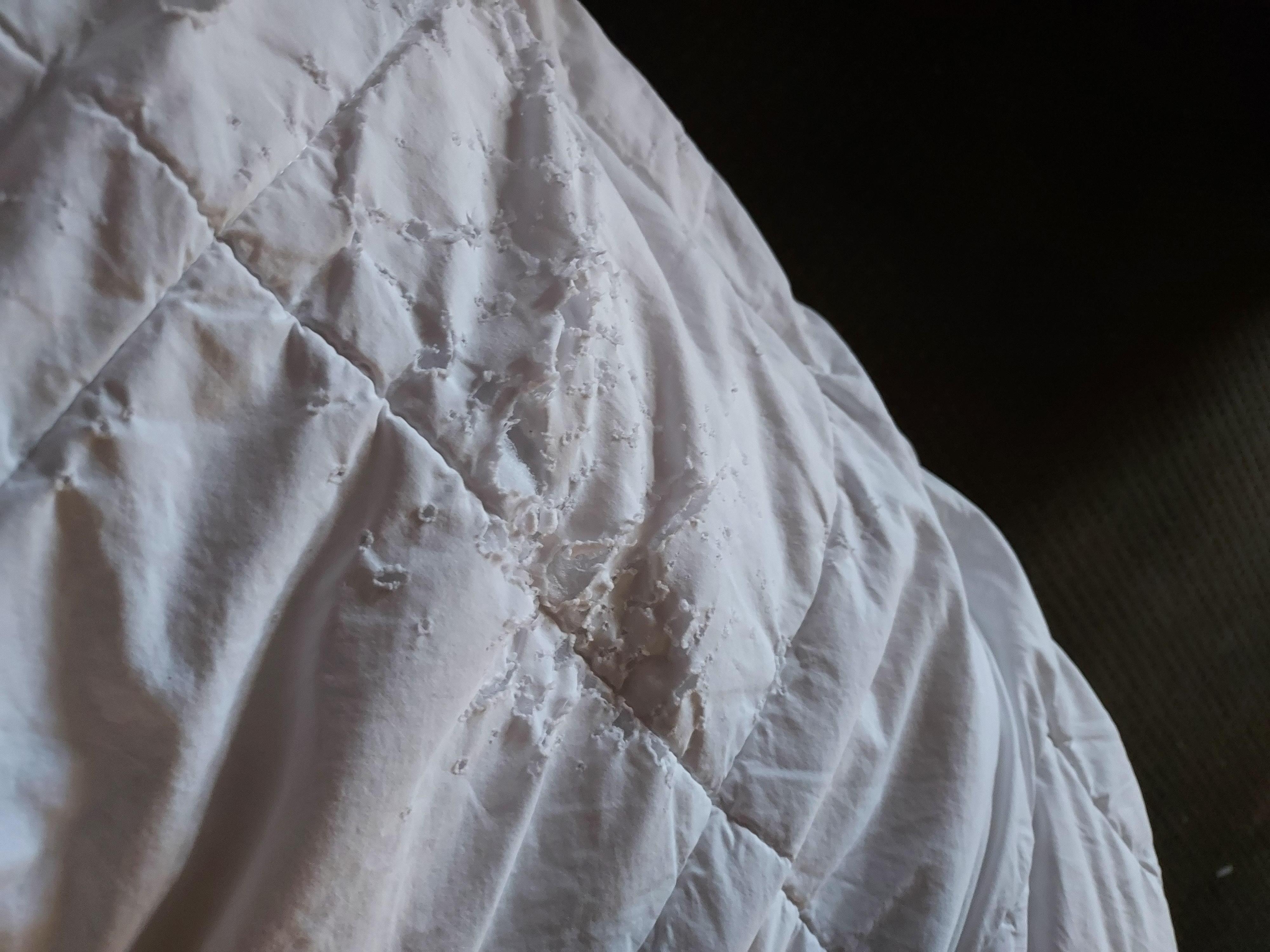 Rips in the comforter