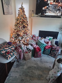 Even got to put up a Christmas tree for our pre-Christmas celebration with family