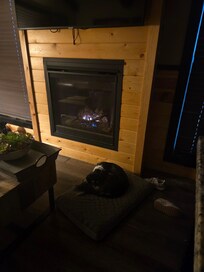 Super cozy for dogs.