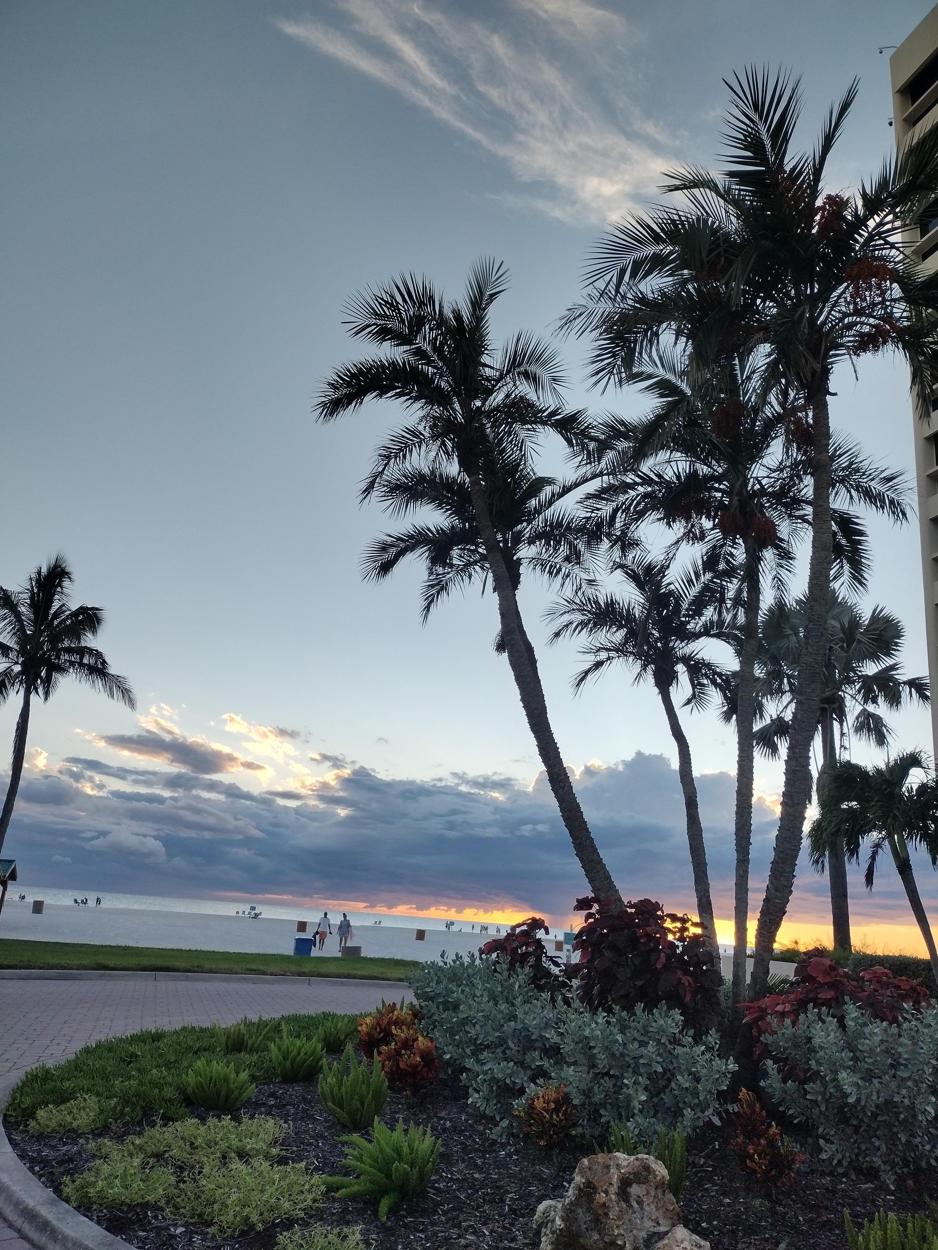 View from front entrance 