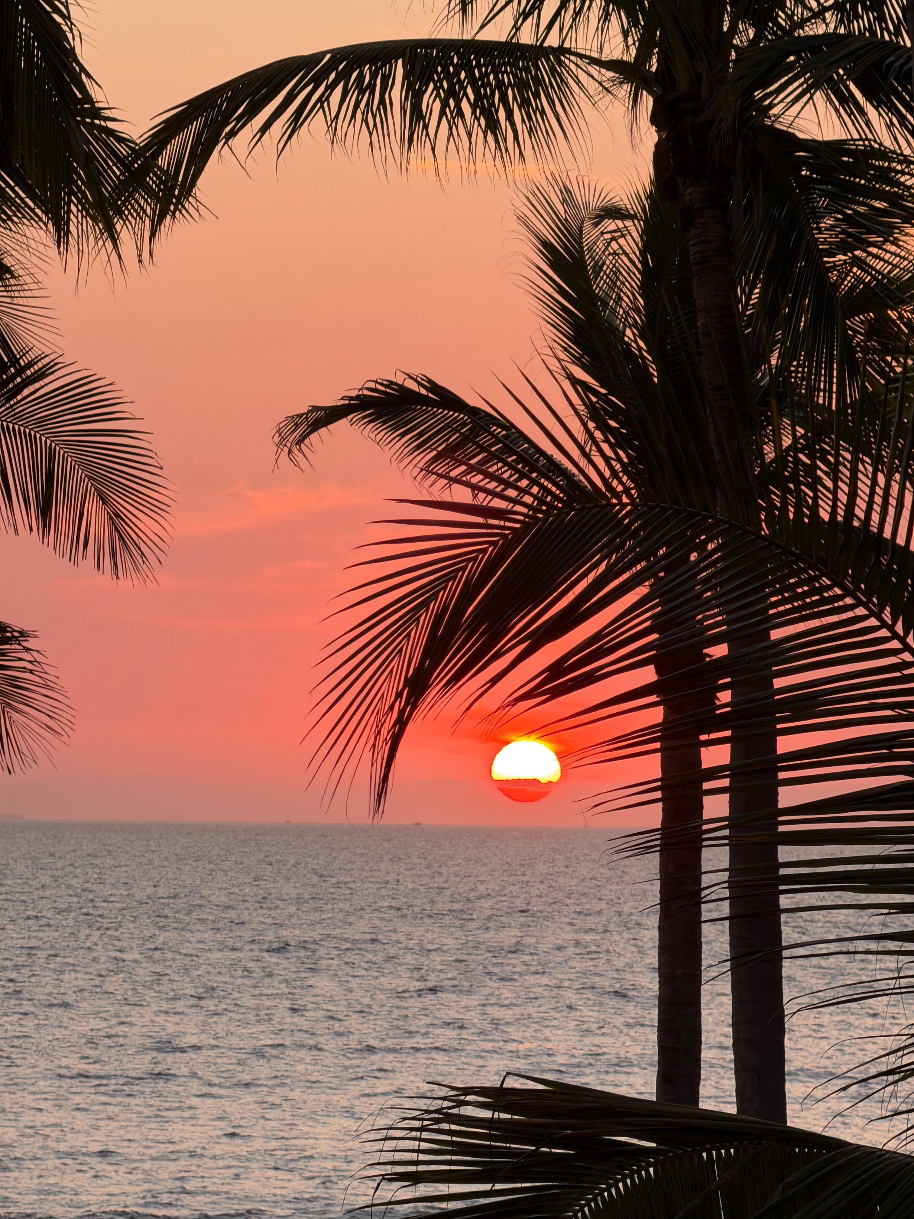 Lovely sunsets every evening. 