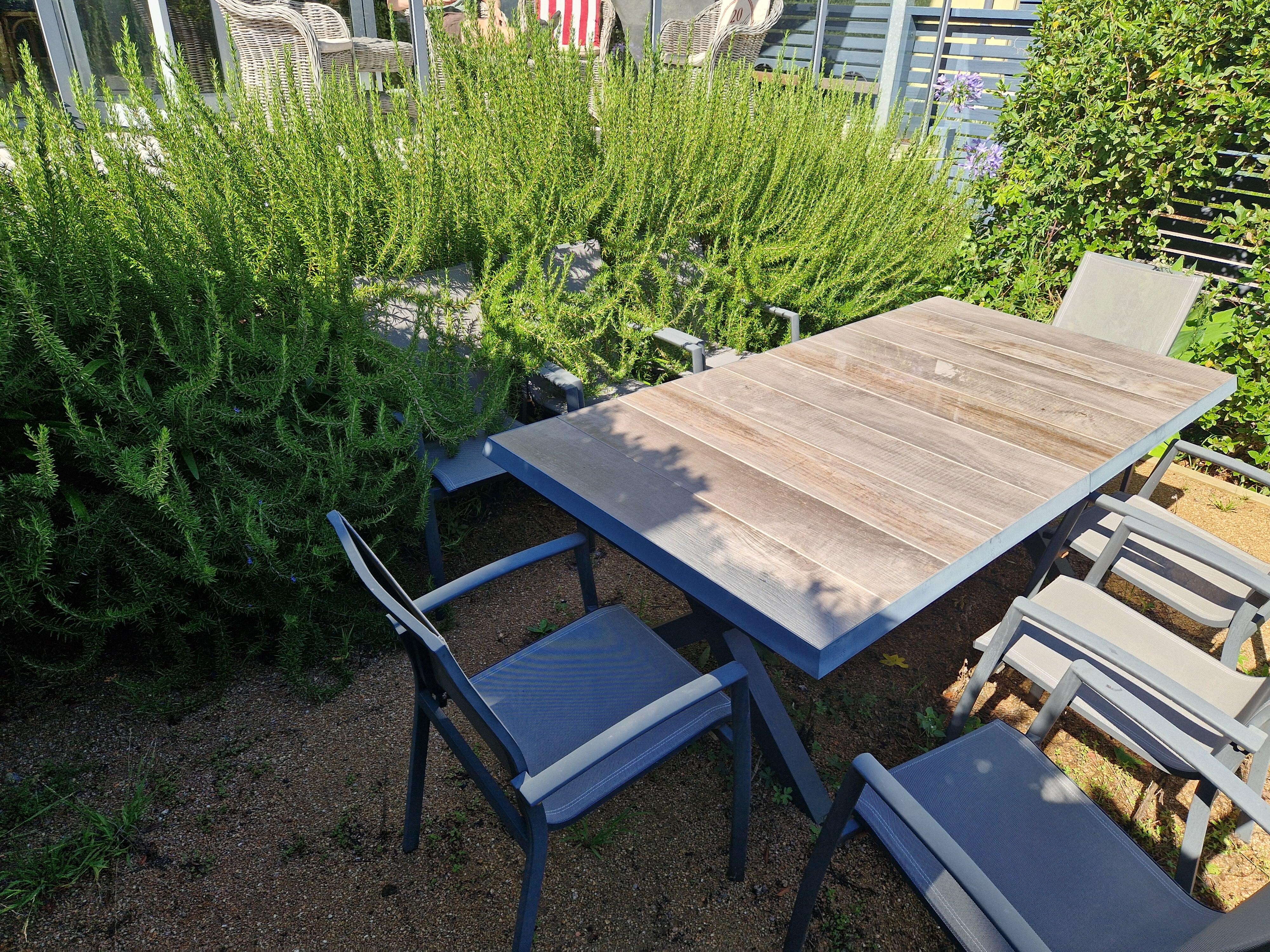 Lower garden, chairs overgrown!