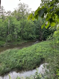 The river