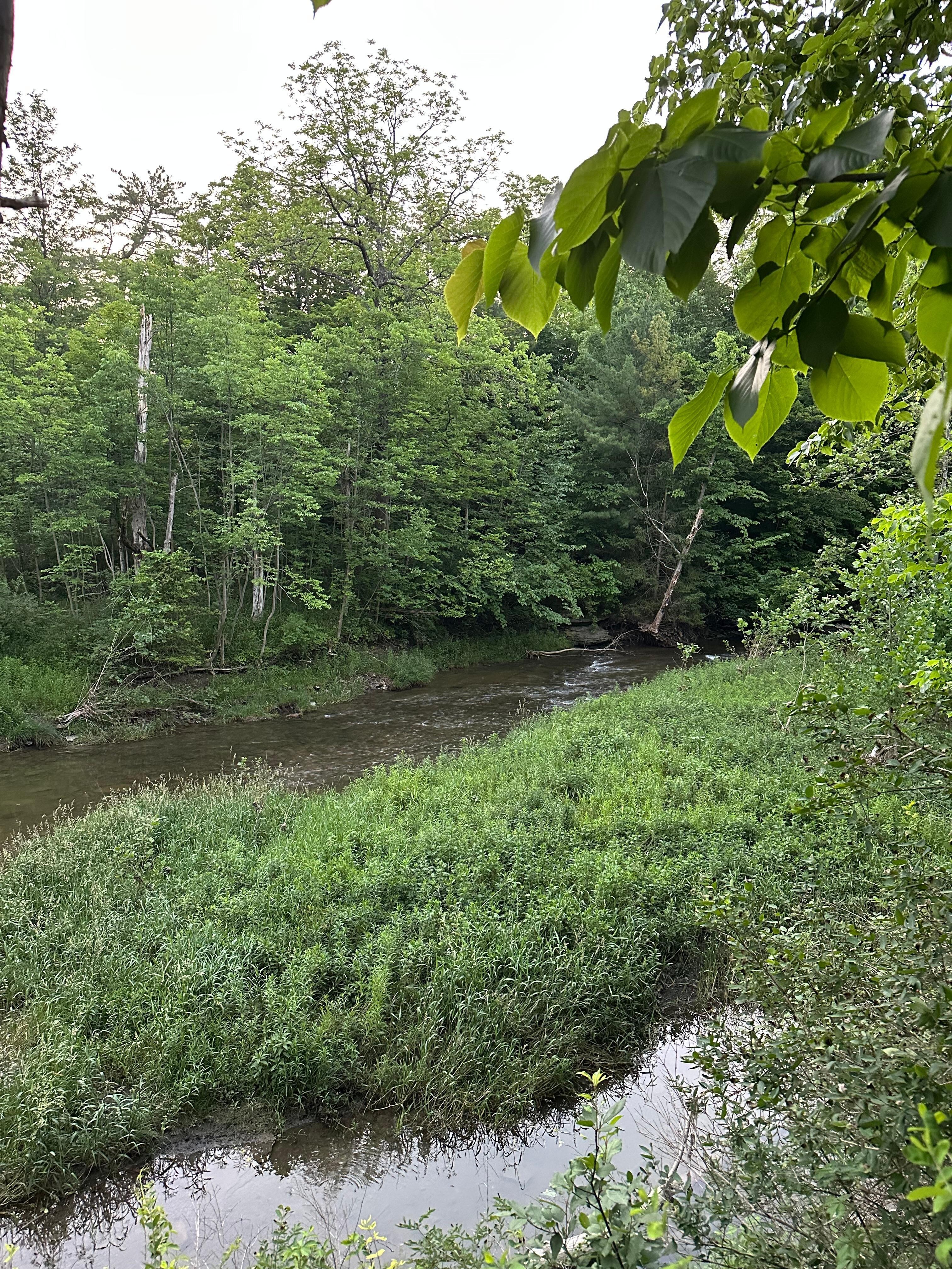 The river