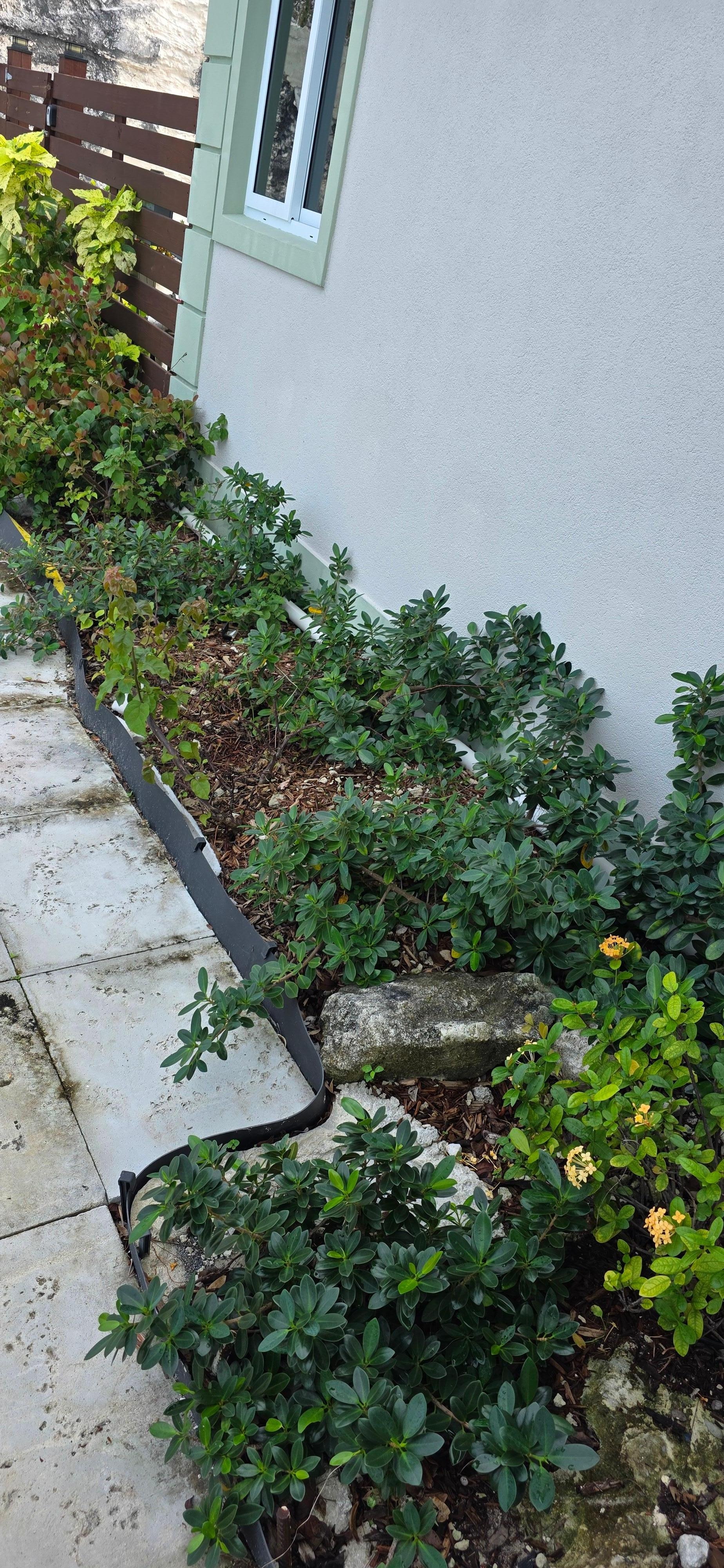 2.Pool_area_upon_arrival