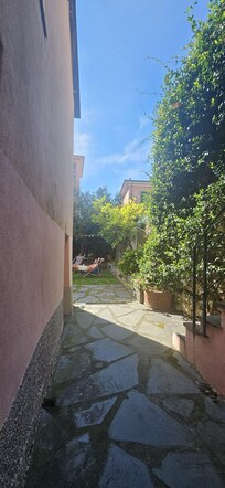 Tuin