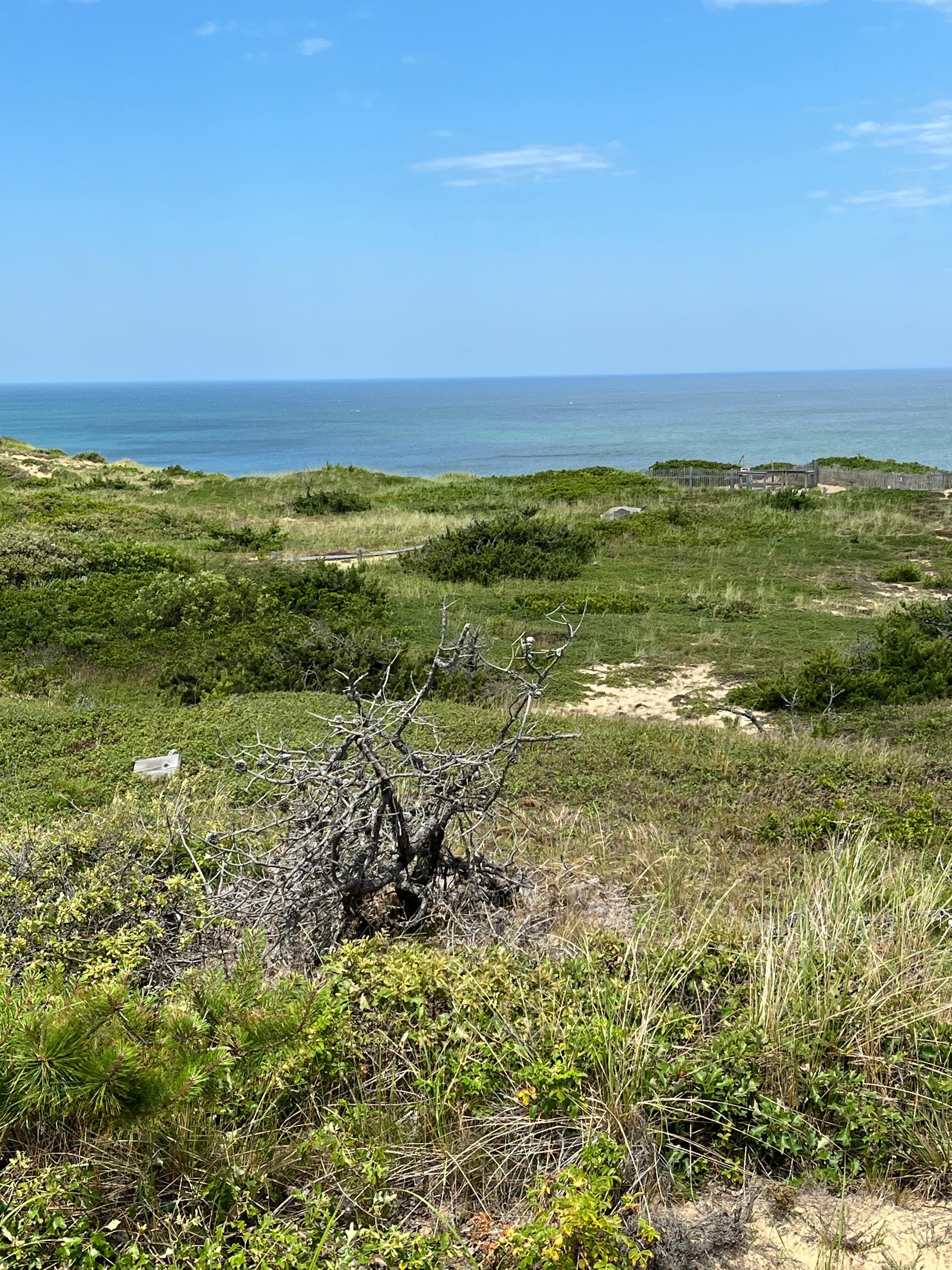 Marconi Station Site