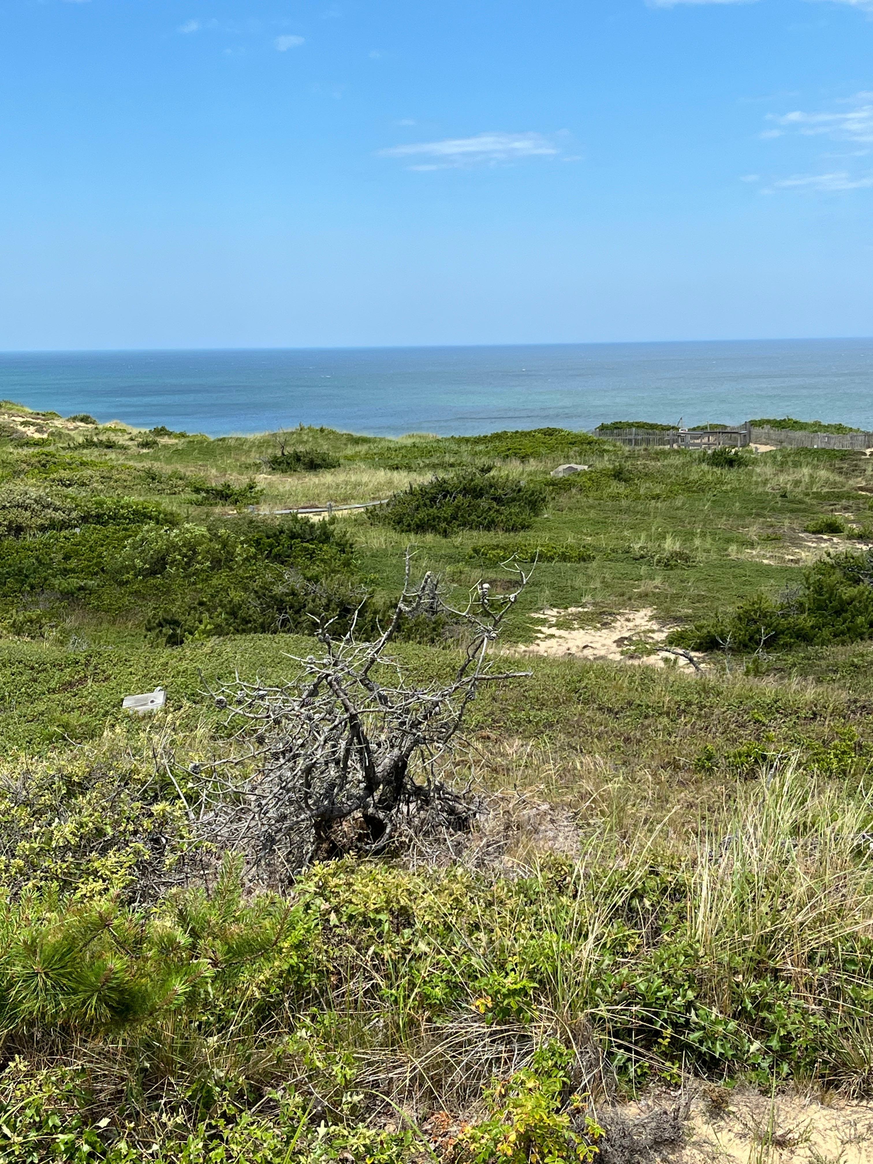 Marconi Station Site