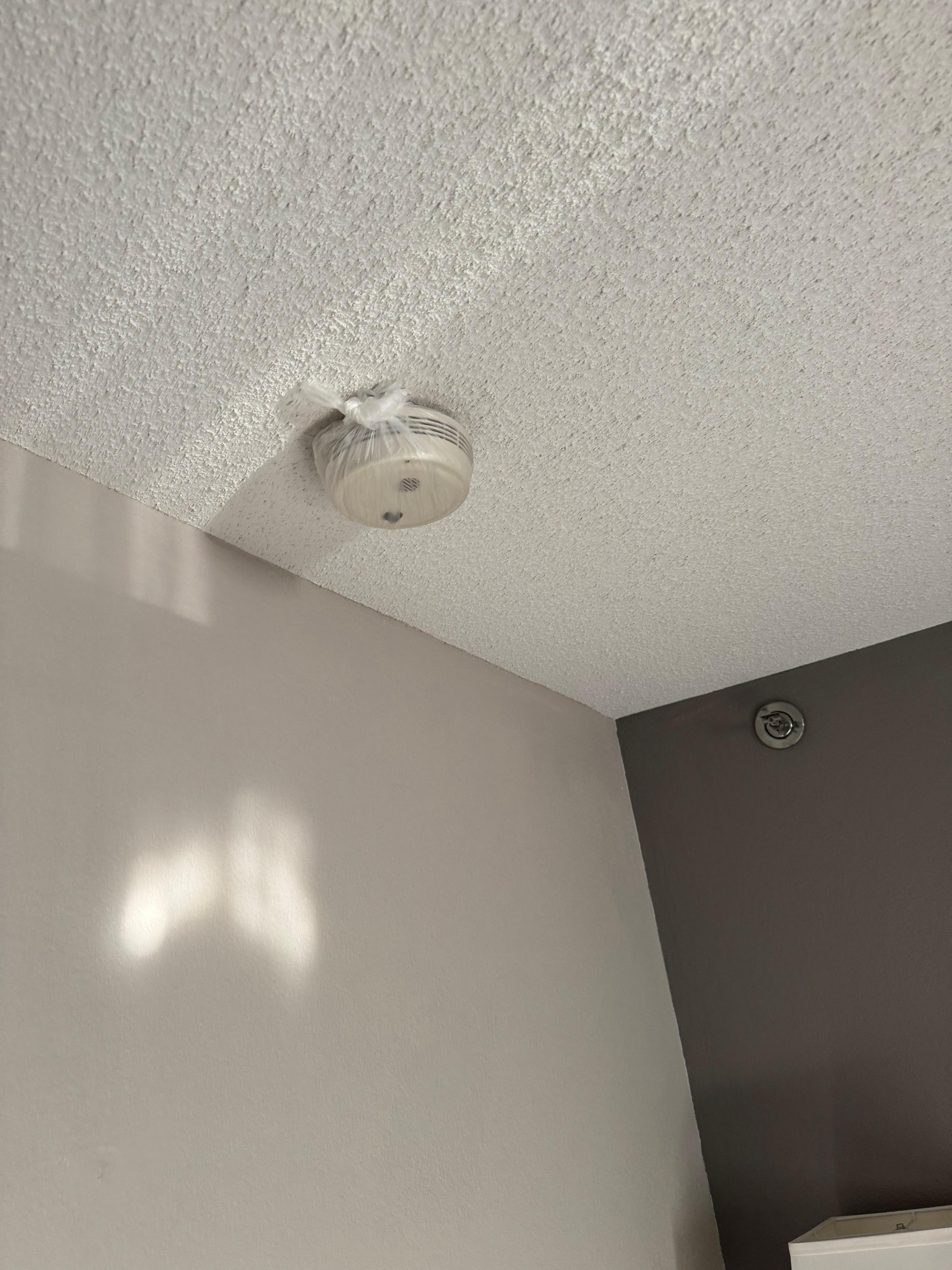 This was found in after my second room switch because of smoke smell, body odor smell, and come to this room which has a bag over the smoke detector resulting in switching rooms 3 times before finding one that was habitable.