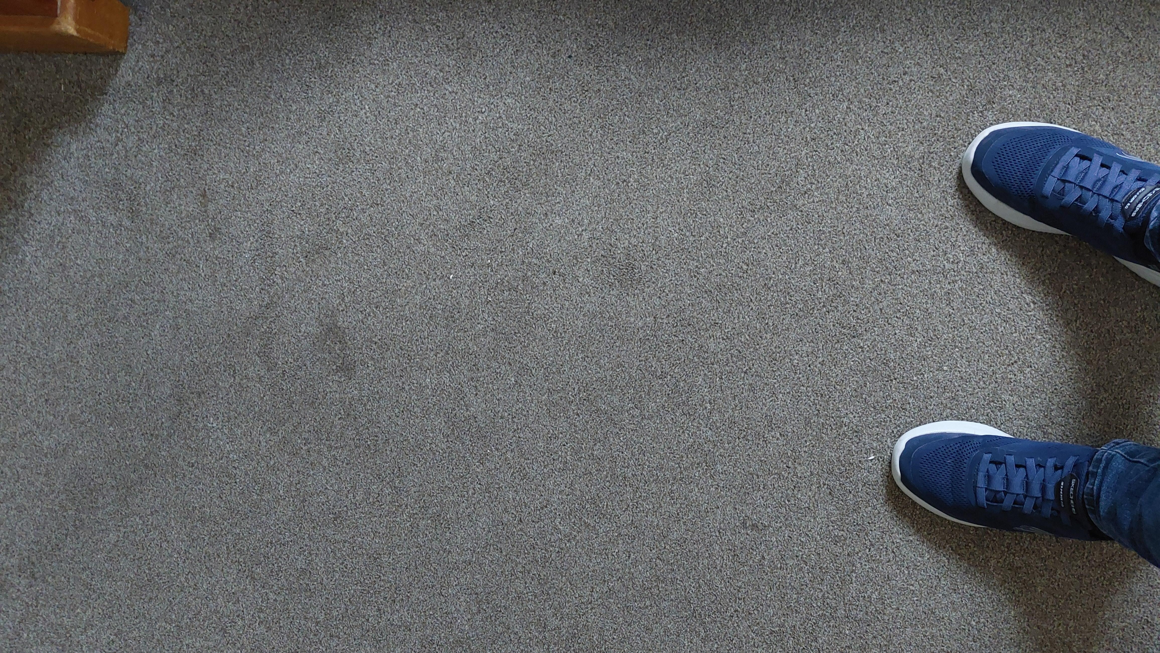 Stains on carpet 