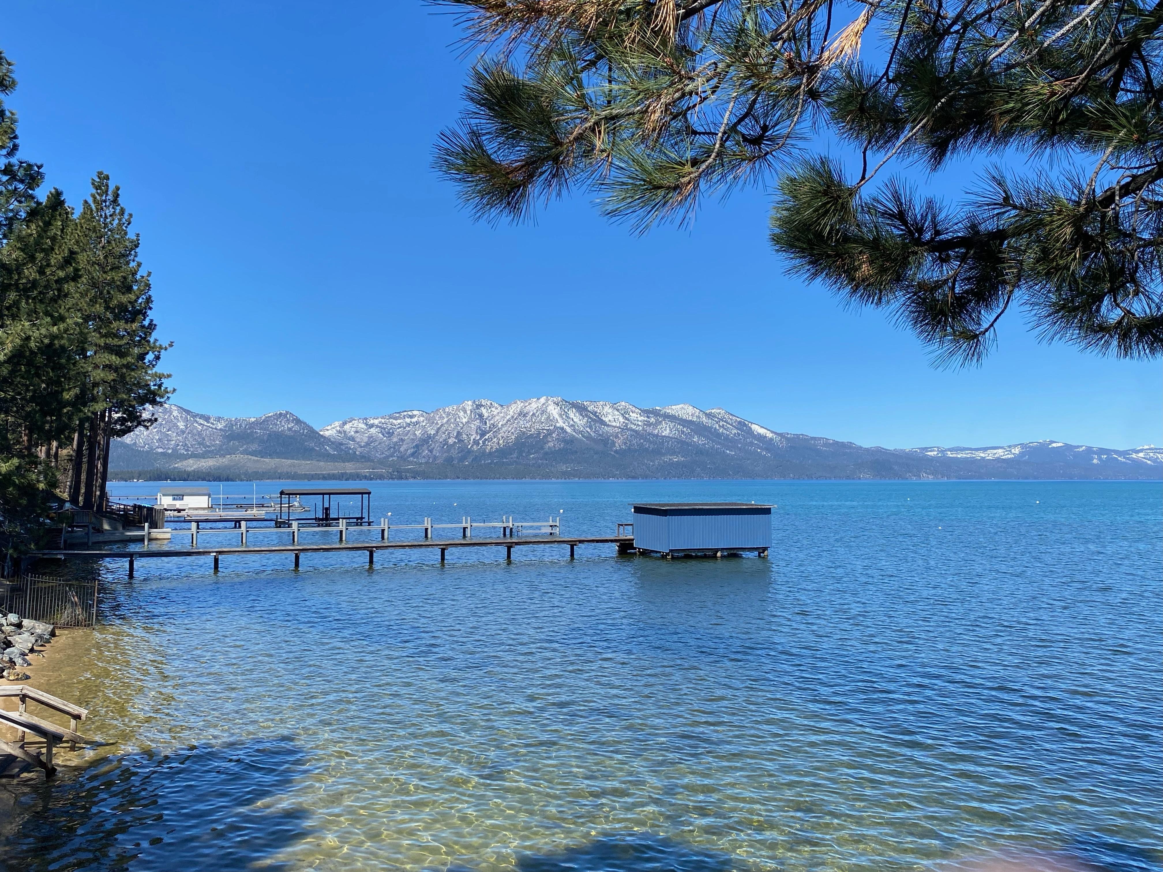 View from backyard during the day