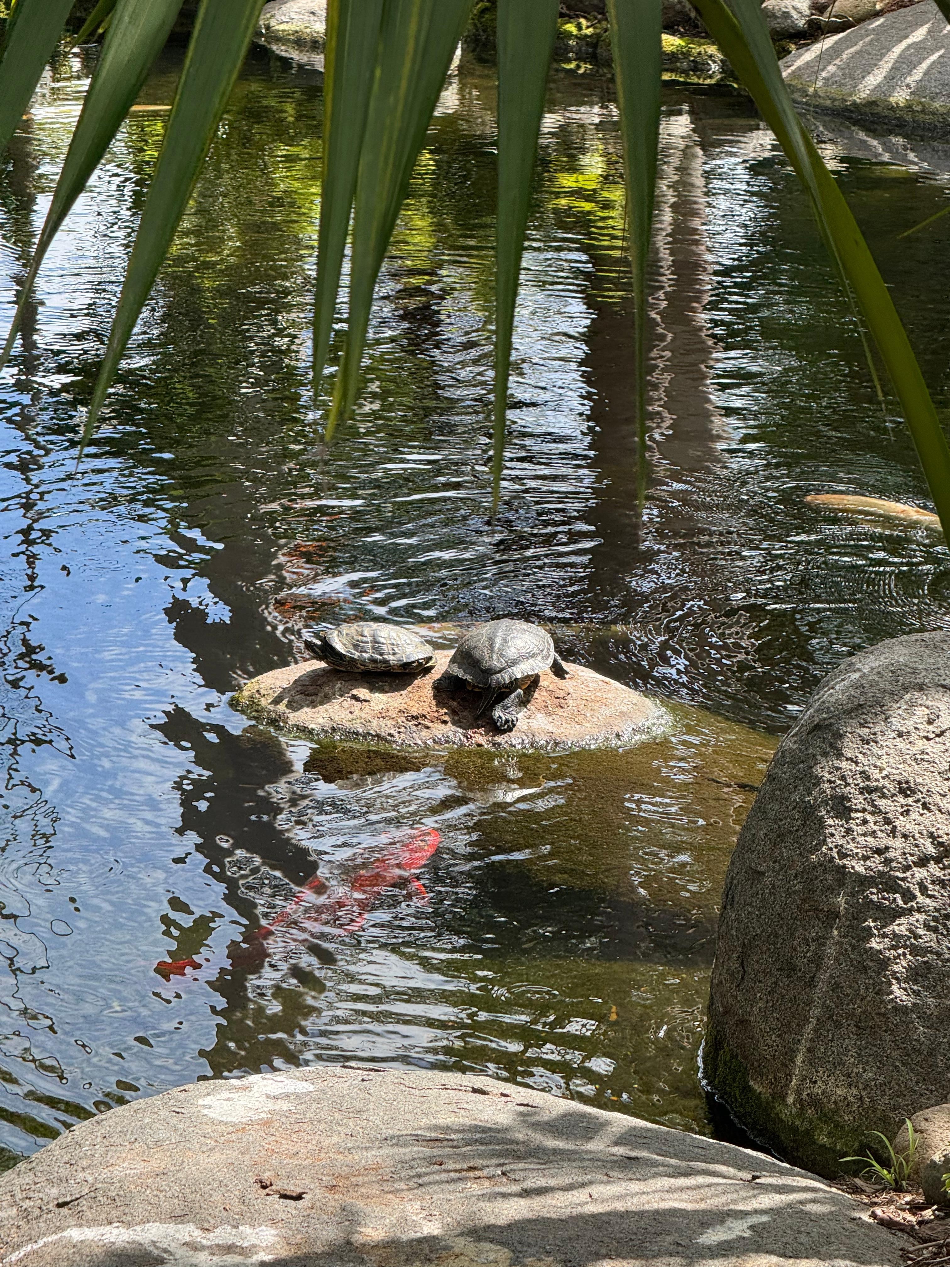 Fun place to stay with kids