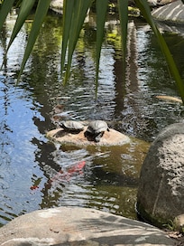 Fun place to stay with kids