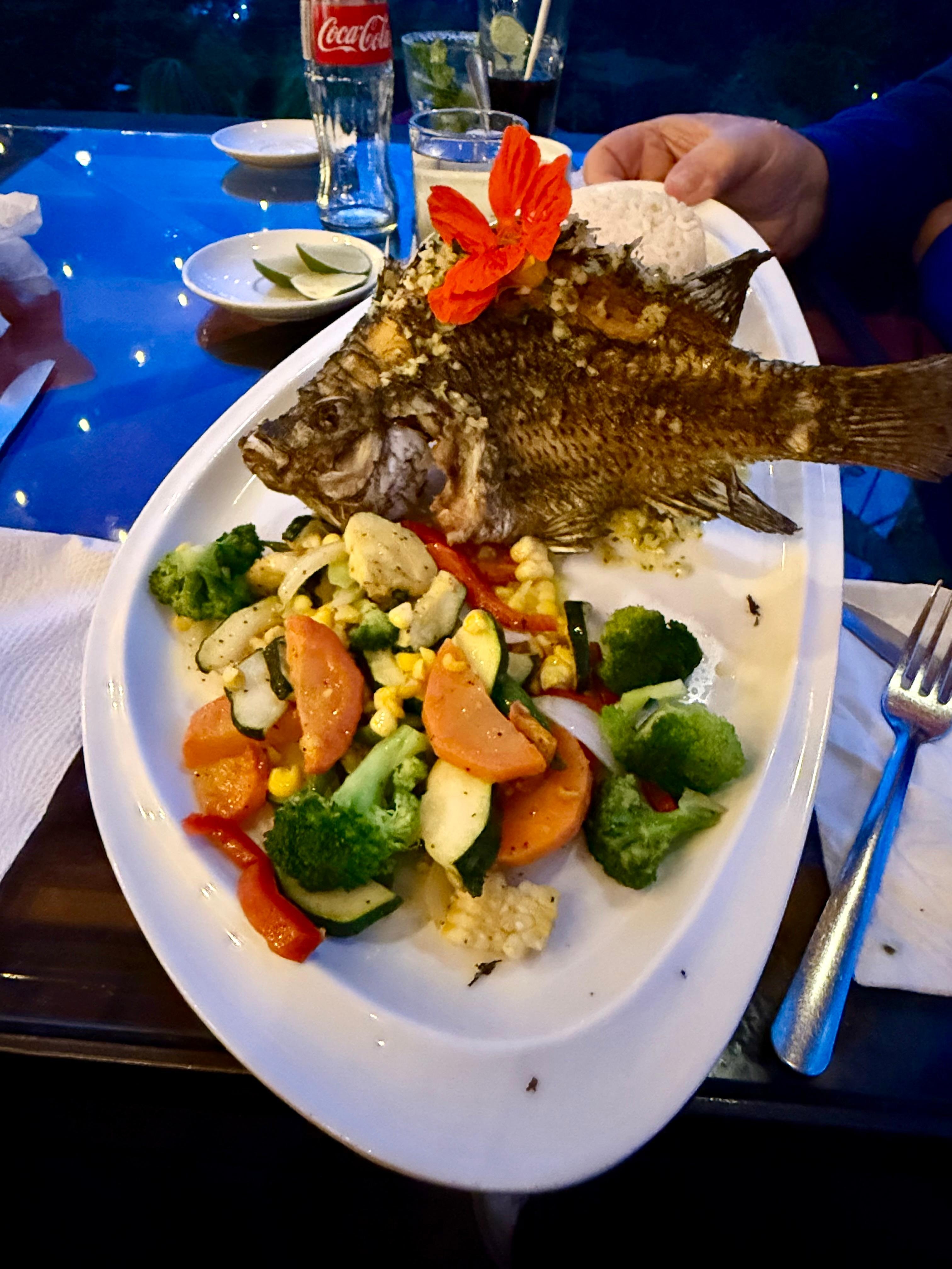 Delicious fish dinner