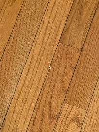 Someone else’s nail clipping in bedroom floor.