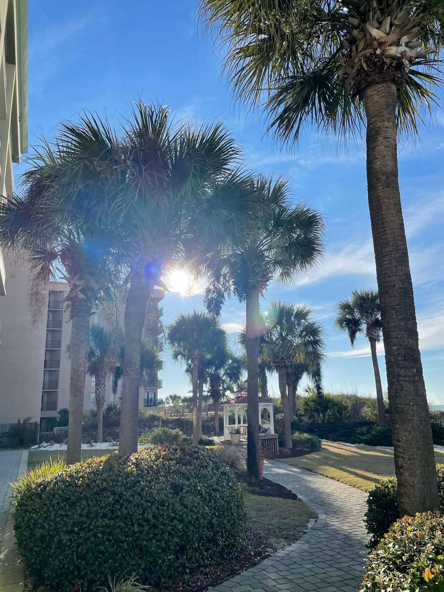 Beautiful pic sitting on condo deck!