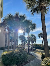 Beautiful pic sitting on condo deck!