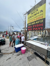 Mahi mahi. Off shore fishing