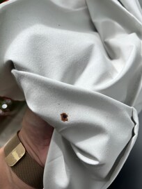 Smashed bed bug and blood