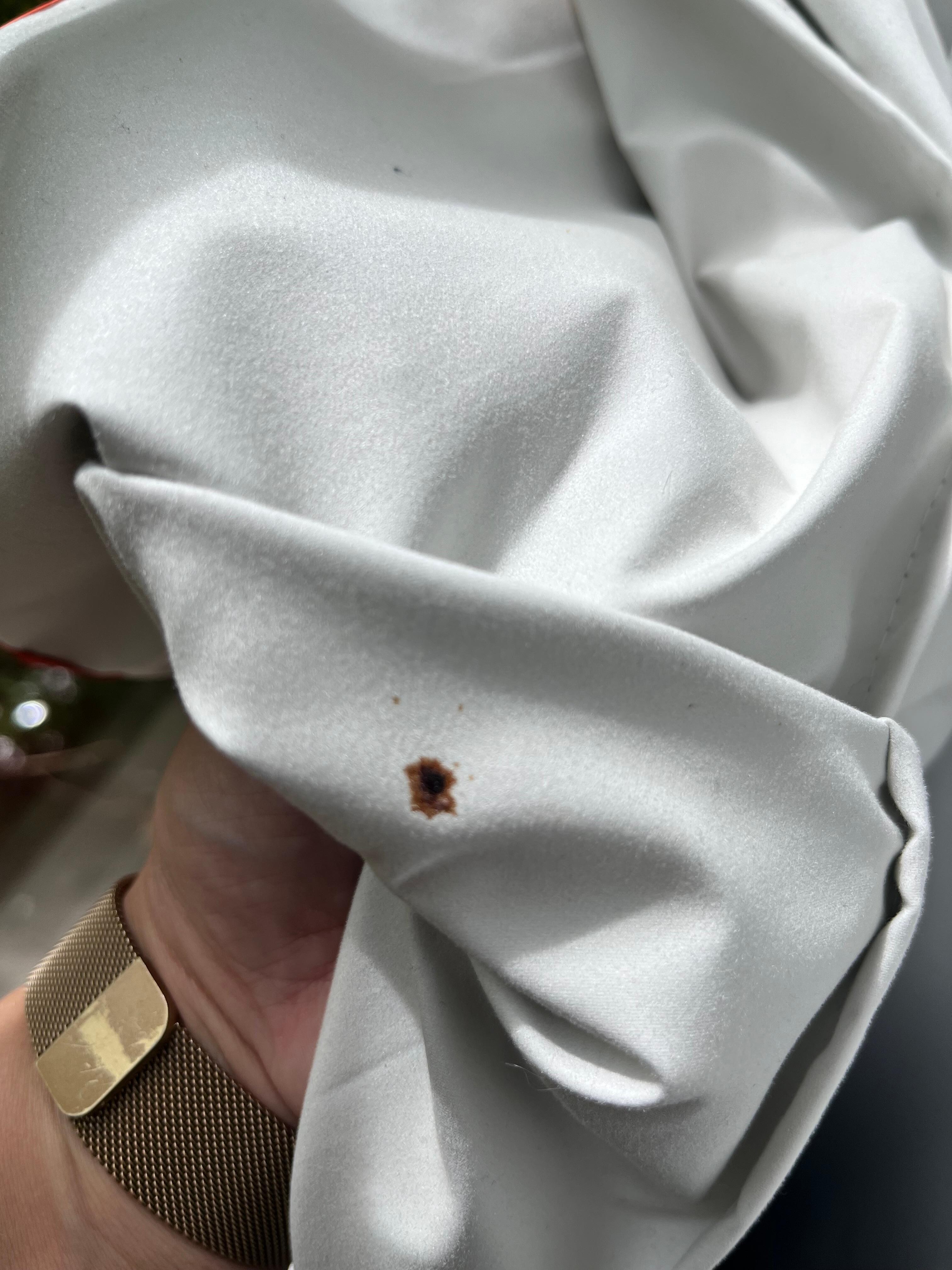 Smashed bed bug and blood