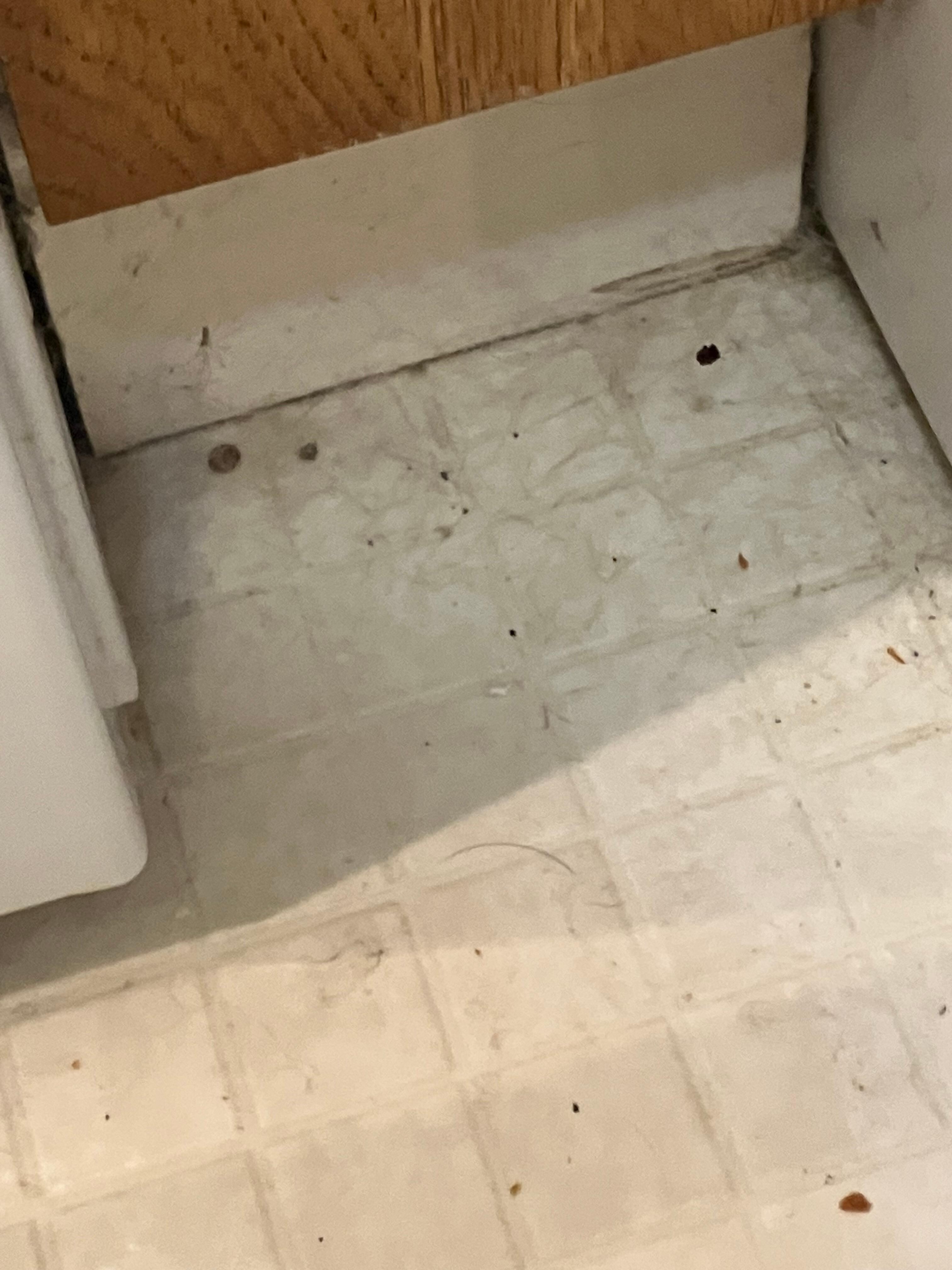 Kitchen floor
