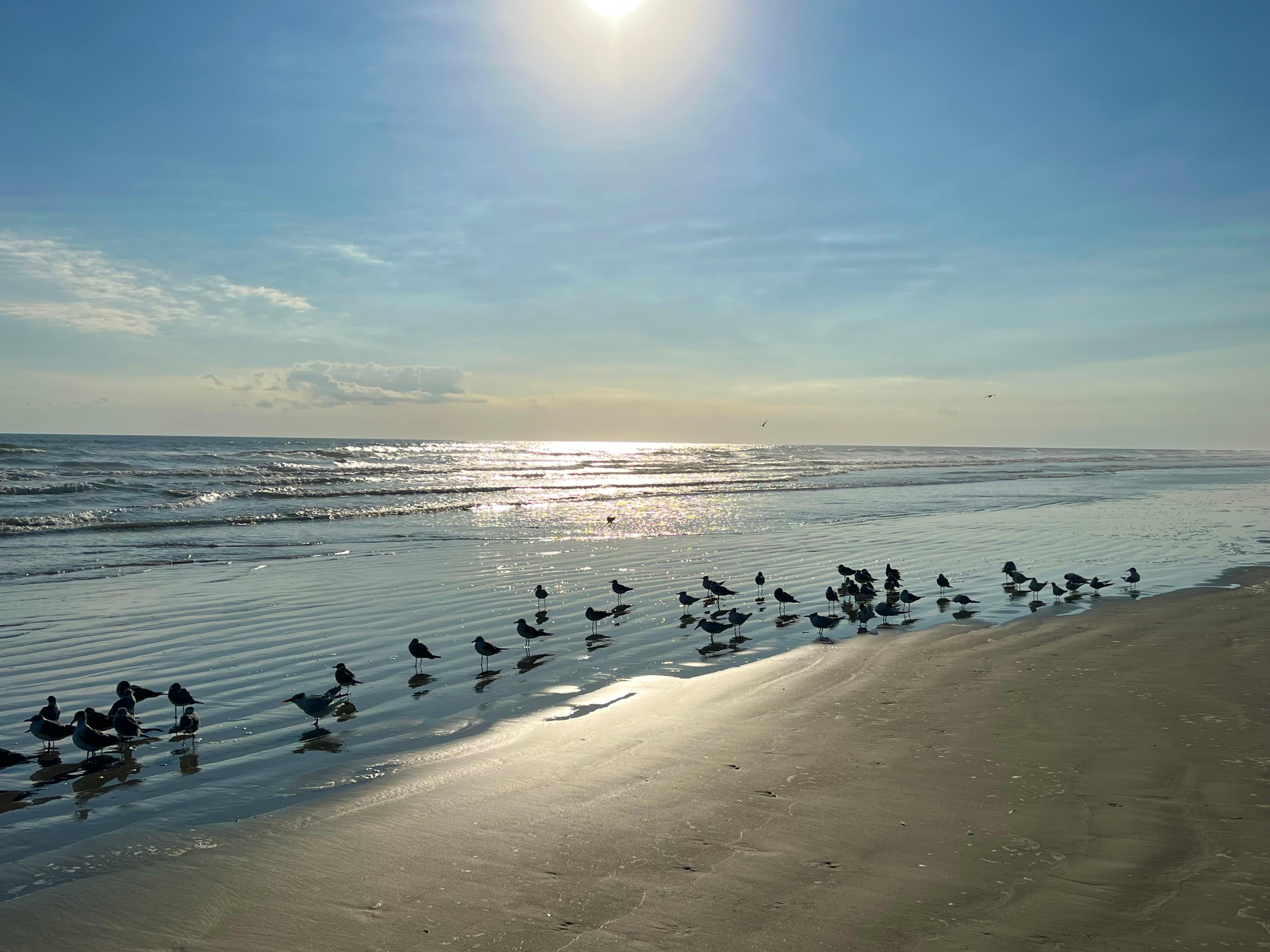 Taken from in front of the house on the beach
