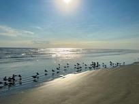 Taken from in front of the house on the beach