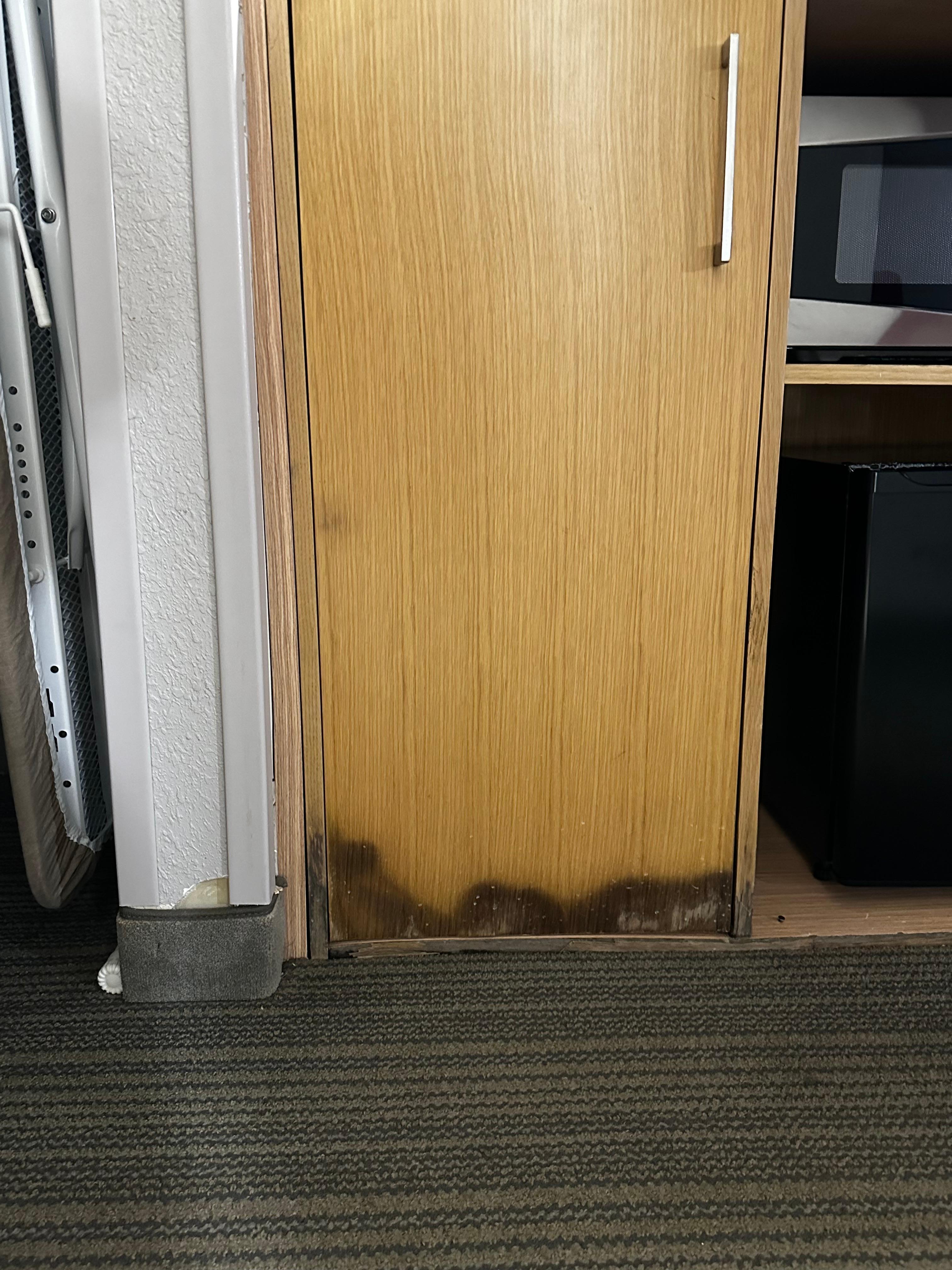Horrendous water damage/mold