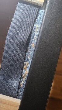 Bedbugs in the bed frame.