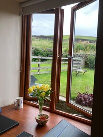 Kitchen window view