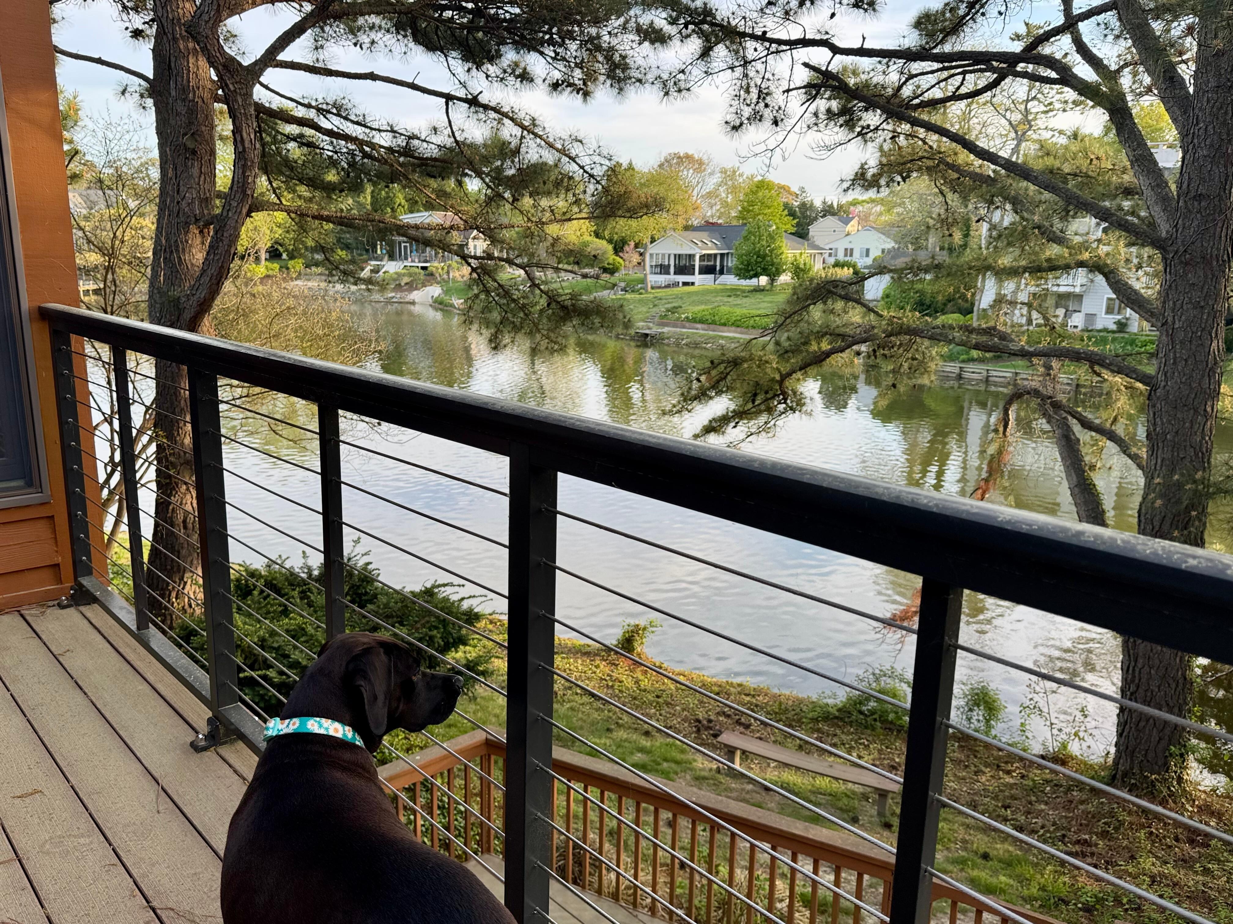  Deck view of Silver Lake 