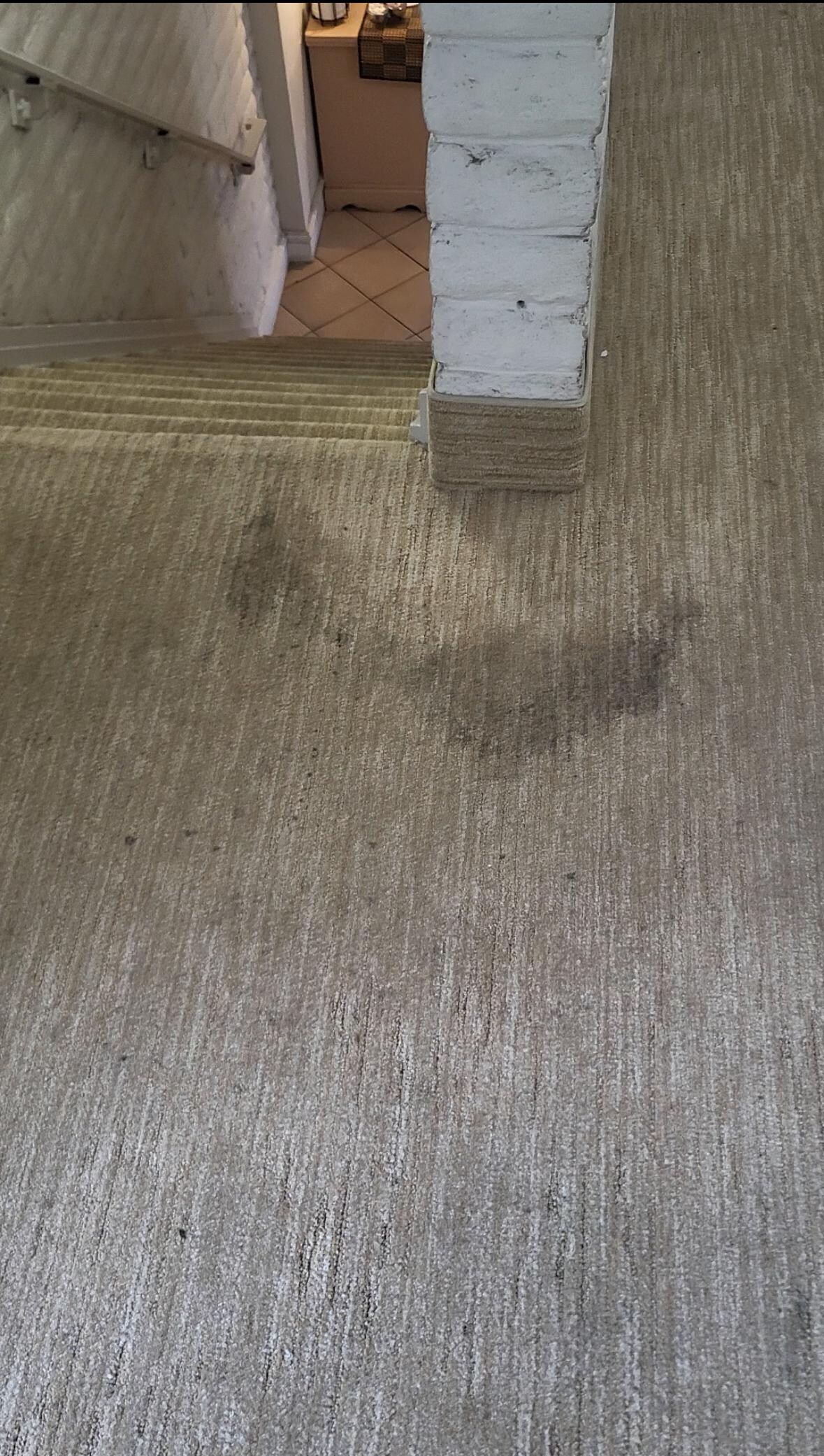 Stains all throughout the hallways and common areas