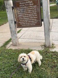 Ms. Dorie loved the park!