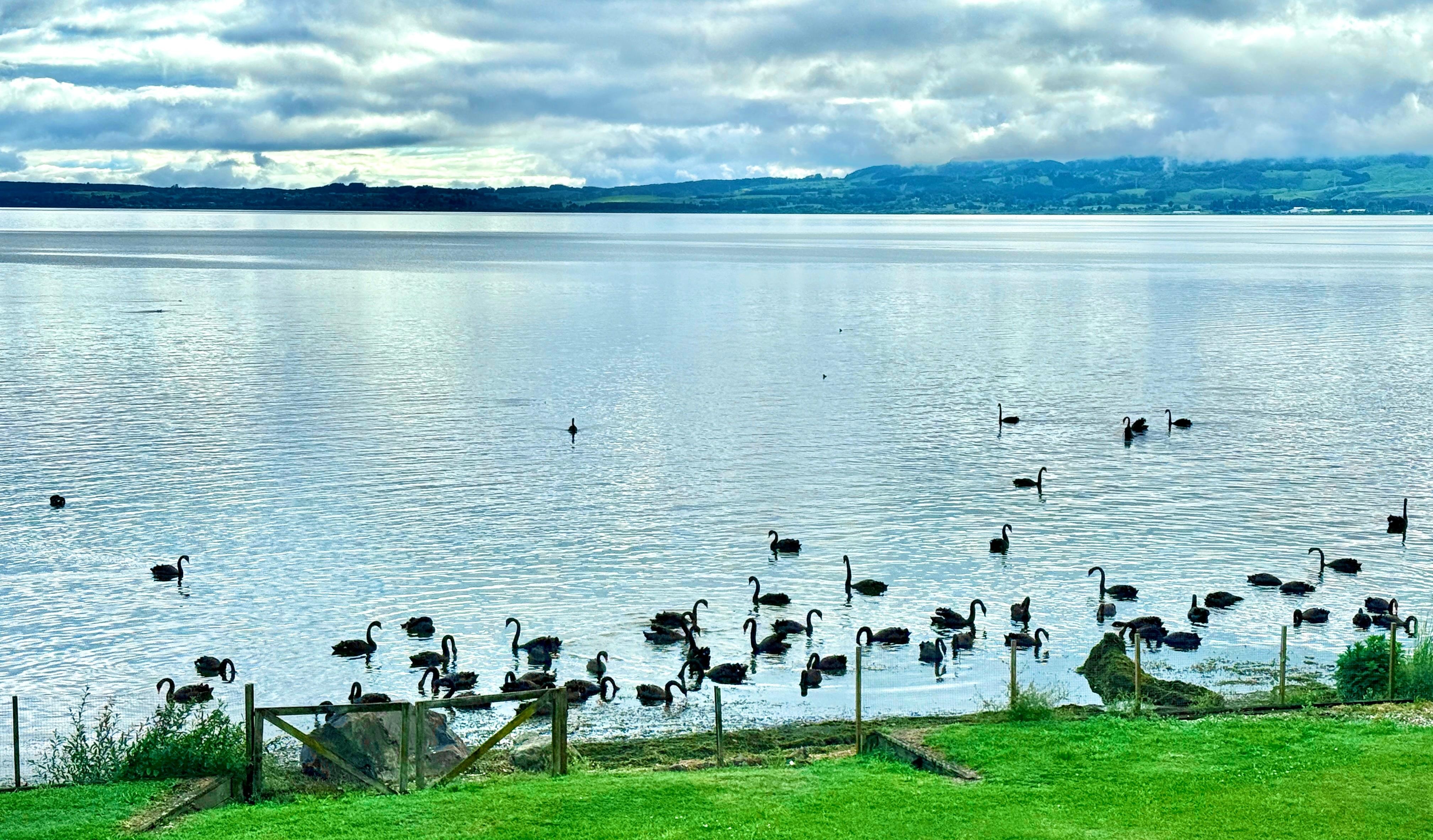 The lake next to the house 