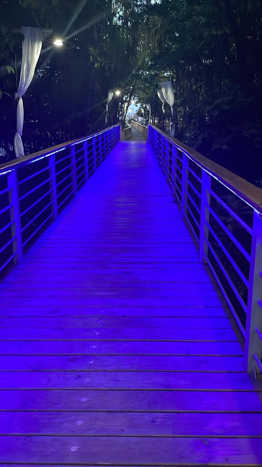 Puente hacia la playa en la tarde/noche