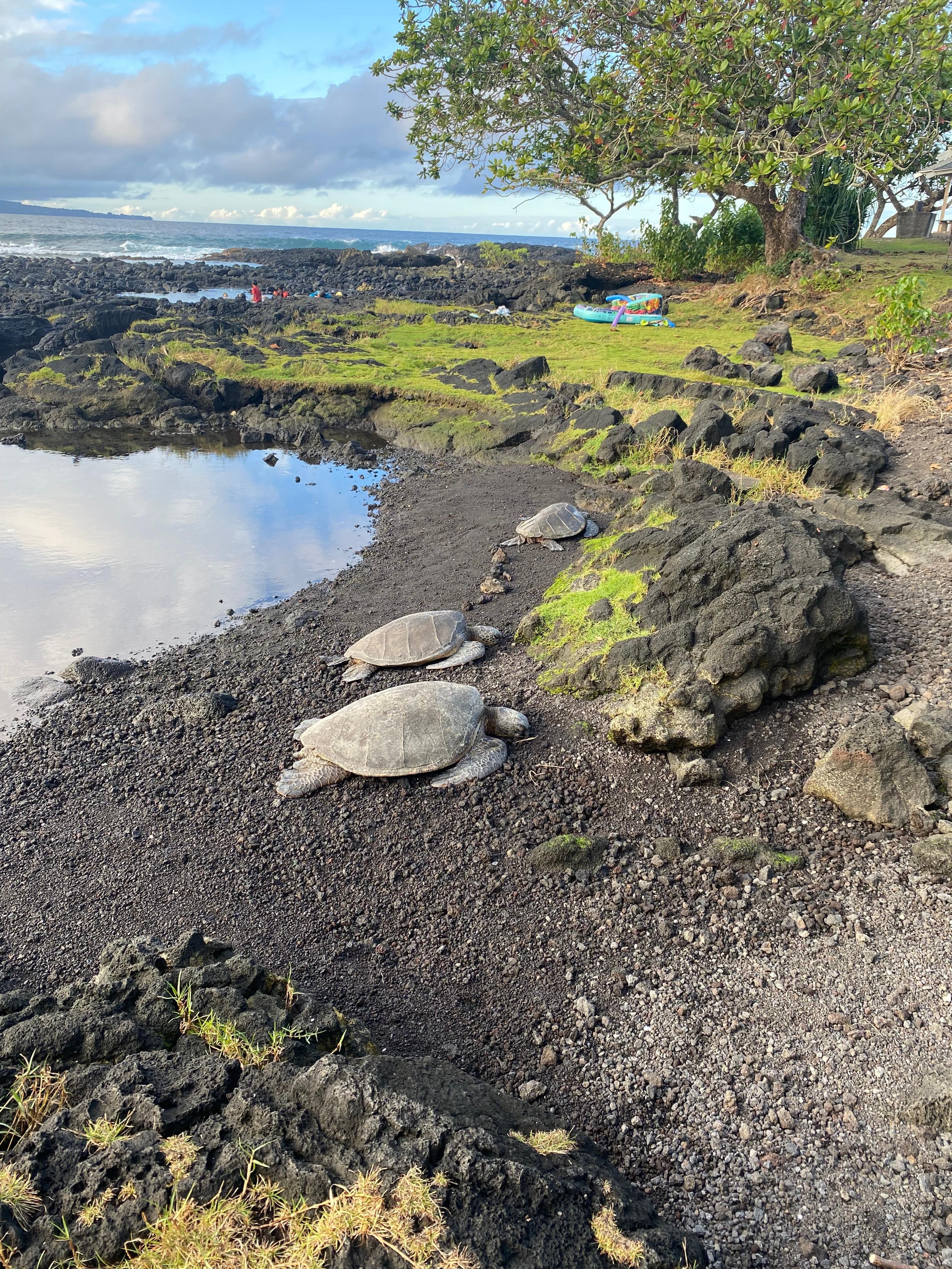 Across the street from the house. 