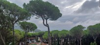 View from room balcony