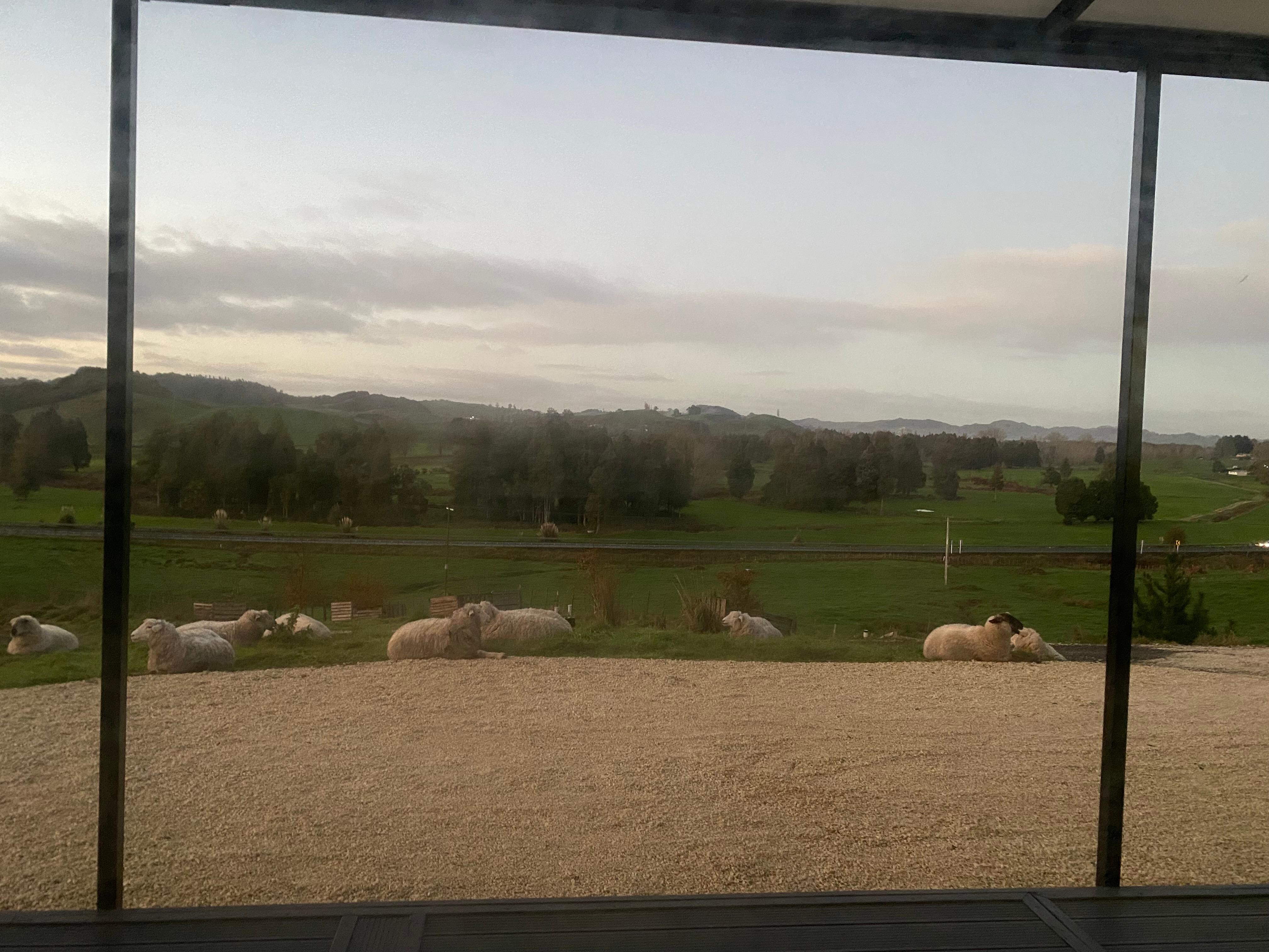 Morning view