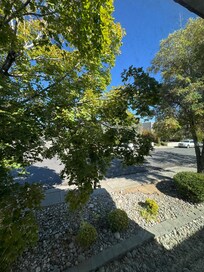Living room window view